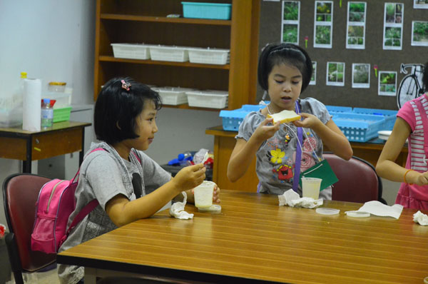 2-DSC_0001 (1)